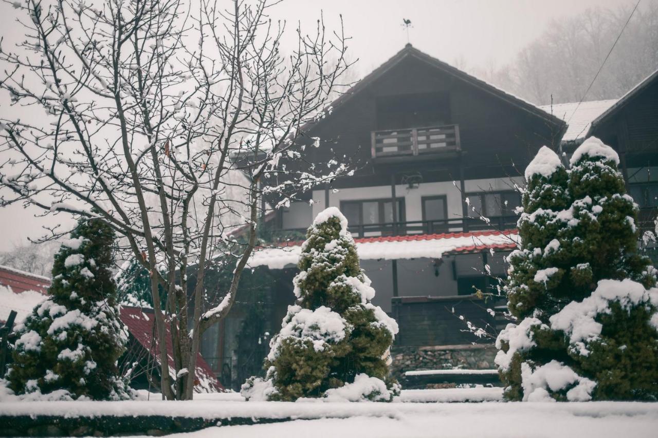 Hanul Vanatorului Gureni Exterior photo